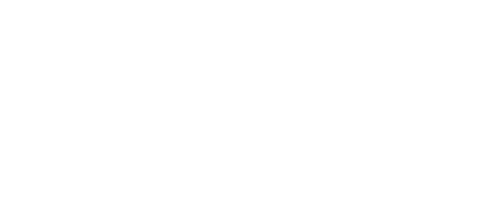 Liberty Partnerships Statewide logo white
