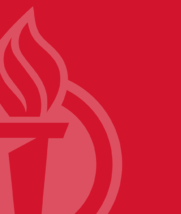 Liberty Partnerships Program torch logo